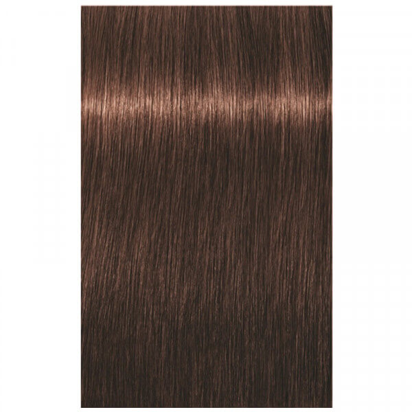 Schwarzkopf Igora Royal Hair Color 5-6 Light Brown Chocolate